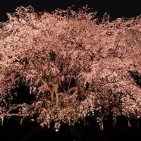 六義園の写真・動画_image_541500