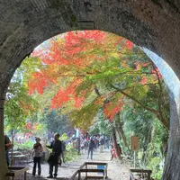 愛岐トンネル群の写真・動画_image_541745