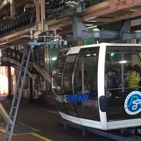 箱根ロープーウェイ 早雲山駅の写真・動画_image_542003