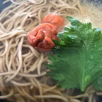 宝うどんの写真・動画_image_542133