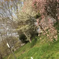 武蔵野の森公園の写真・動画_image_545685