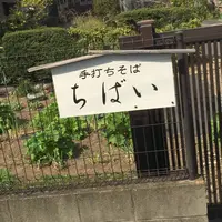 ちばいの写真・動画_image_545709