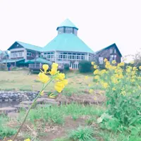 道の駅とみうら枇杷倶楽部の写真・動画_image_546895