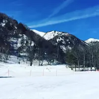 日光湯元スキー場の写真・動画_image_547106