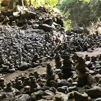 天岩戸神社の写真・動画_image_548739