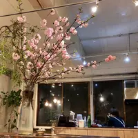 cafe えにしえの写真・動画_image_548912