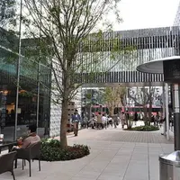 代官山 蔦屋書店(TSUTAYA)の写真・動画_image_550684