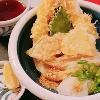 本格手打うどん おか泉の写真・動画_image_555867