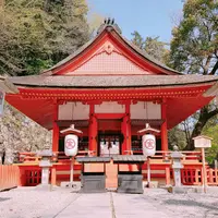 金刀比羅宮（こんぴらさん）の写真・動画_image_556588