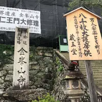 蔵王堂の写真・動画_image_560100