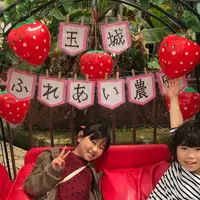 玉城ふれあい農園の写真・動画_image_560451
