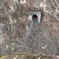 鳴子峡の写真・動画_image_560860