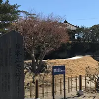 五大堂の写真・動画_image_560917