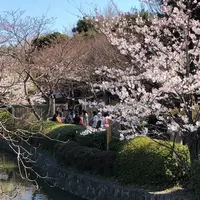 鶴岡八幡宮の写真・動画_image_562751