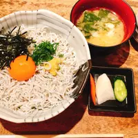 しらすやの写真・動画_image_562759