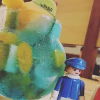 どんぐりの写真・動画_image_562786