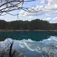 五色沼の写真・動画_image_563302