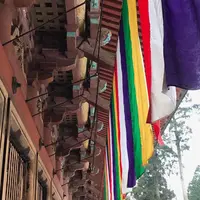 比叡山延暦寺の写真・動画_image_563678
