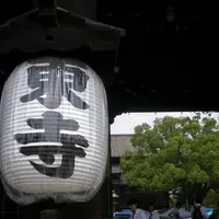 東寺（教王護国寺）の写真・動画_image_563715