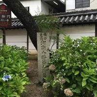 藤井寺の写真・動画_image_563781