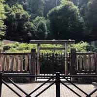観心寺の写真・動画_image_563830