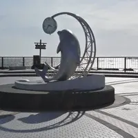 ノシャップ岬の写真・動画_image_564203