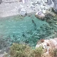 祖谷渓の写真・動画_image_565052