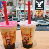 ノナラパールの写真・動画_image_565204