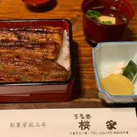 桜家の写真・動画_image_565895