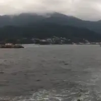 対馬の写真・動画_image_566324