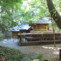 七本杉（天岩戸神社東宮）の写真・動画_image_566575