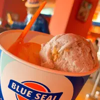 ブルーシール名護店の写真・動画_image_567331