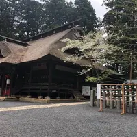 熊野大社の写真・動画_image_567858