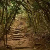 芥屋の大門公園の写真・動画_image_568350