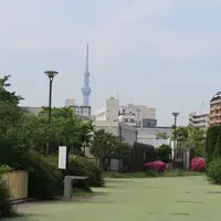 豊住公園の写真・動画_image_569565
