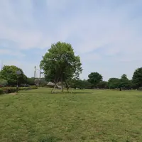 木場公園の写真・動画_image_569573