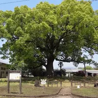 無戸室の写真・動画_image_570685