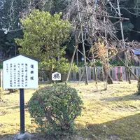橘寺の写真・動画_image_572528