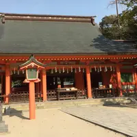 住吉大社の写真・動画_image_572729