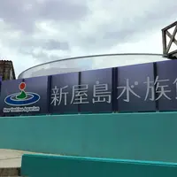 新屋島水族館の写真・動画_image_573350