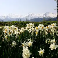 ほのぼの観音の写真・動画_image_574349