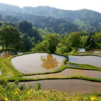 儀明の棚田の写真・動画_image_574369
