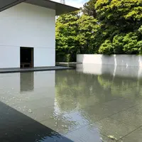 鈴木大拙館の写真・動画_image_576310