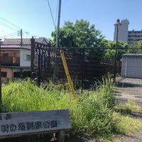 赤羽自然観察公園の写真・動画_image_576808