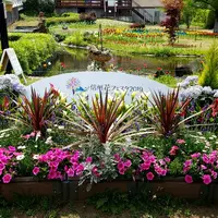 安曇野アートヒルズミュージアムの写真・動画_image_576876