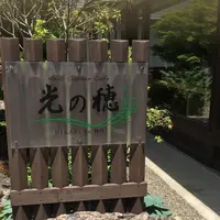 光の穂の写真・動画_image_579275