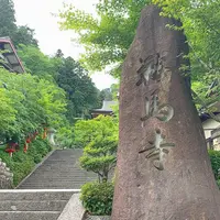 鞍馬寺 仁王門の写真・動画_image_579828