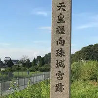 垂仁天皇纒向珠城宮跡の写真・動画_image_581753