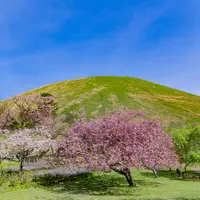 大室山の写真・動画_image_583288
