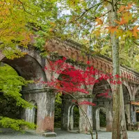 南禅寺の写真・動画_image_584608